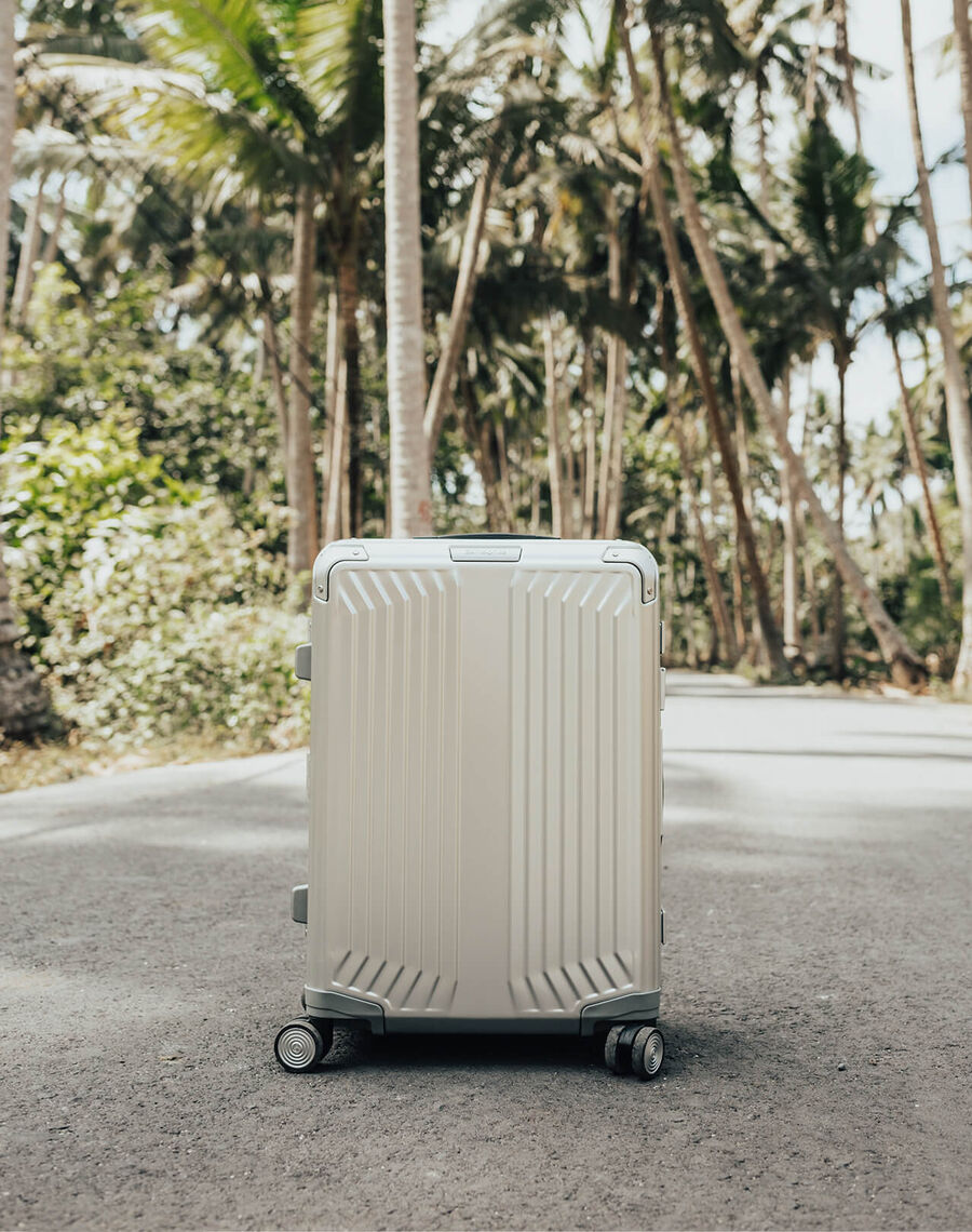 Valises | Samsonite France