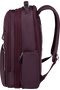 Samsonite Karissa Evo BP Underseater Backpack 15.6' EXP  Bordeaux